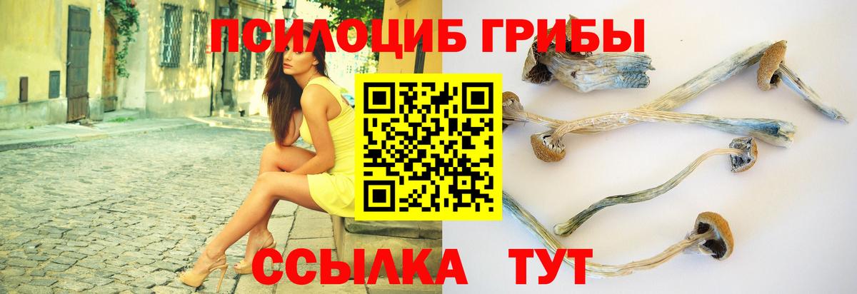 Балашиха  Псилоцибиновые грибы Cubensis  Вход с VPN  Псилоцибиновые грибы ЛСД 