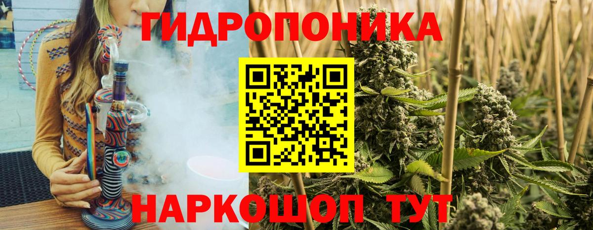Конопля план Балашиха